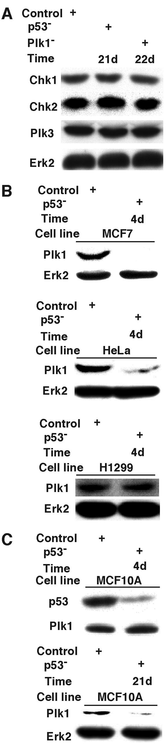 FIG. 9.