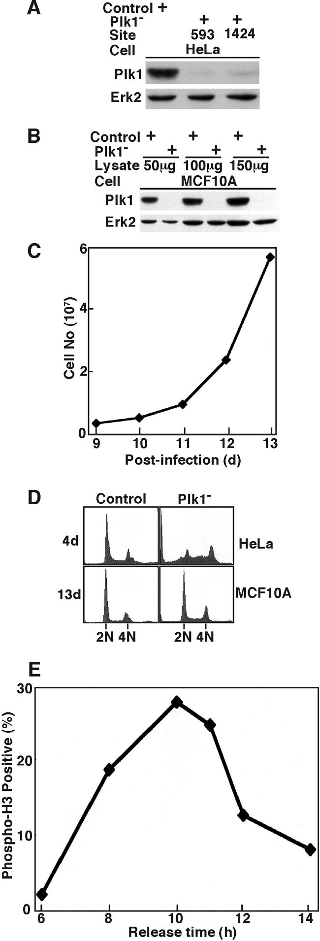 FIG. 10.