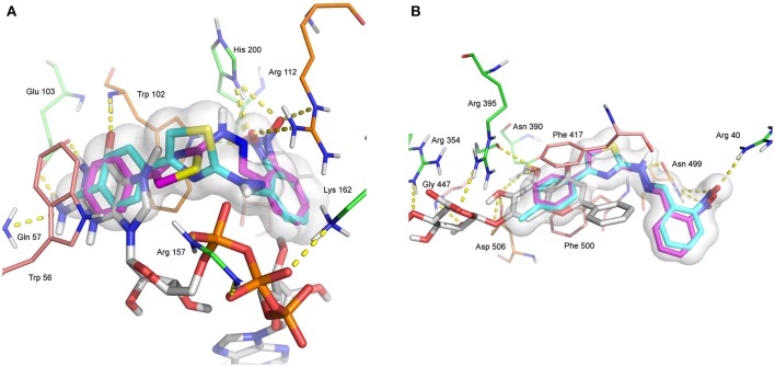 Figure 7