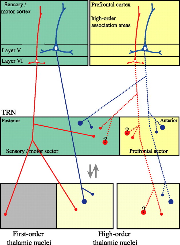 Figure 12.