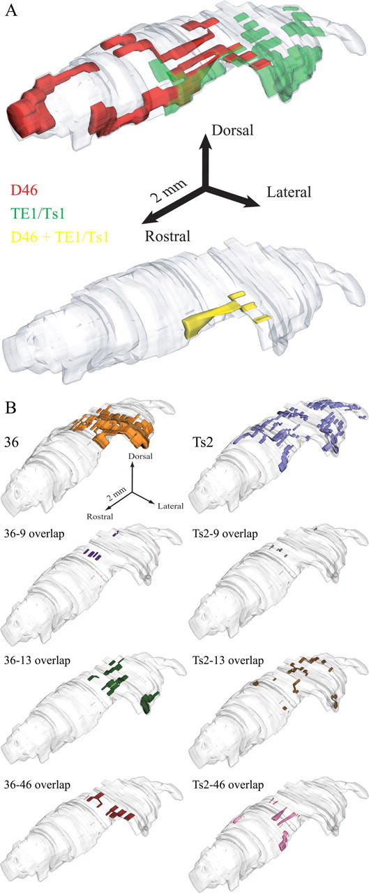 Figure 3.