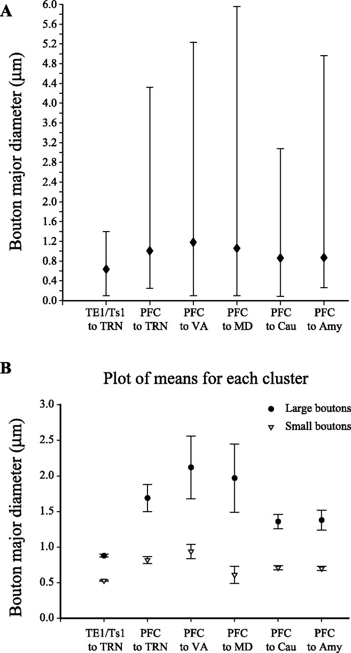 Figure 11.