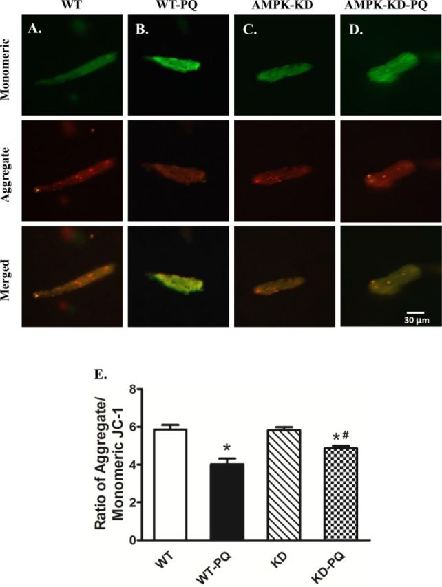 FIG. 4.