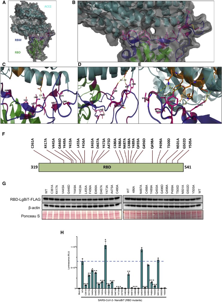 Figure 3