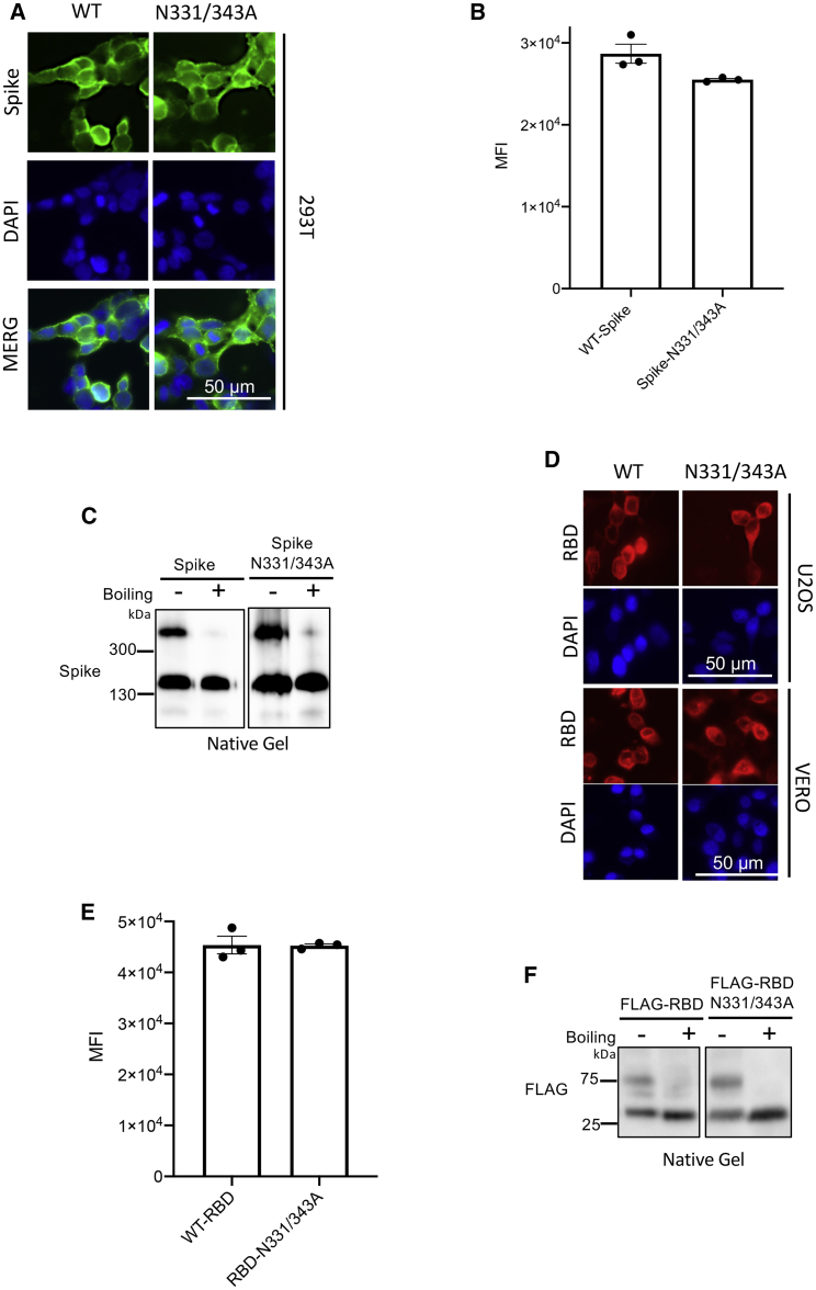 Figure 6