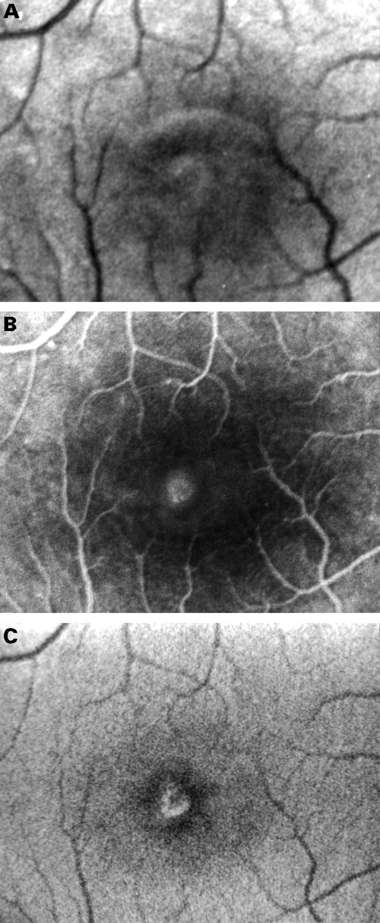 Figure 2  