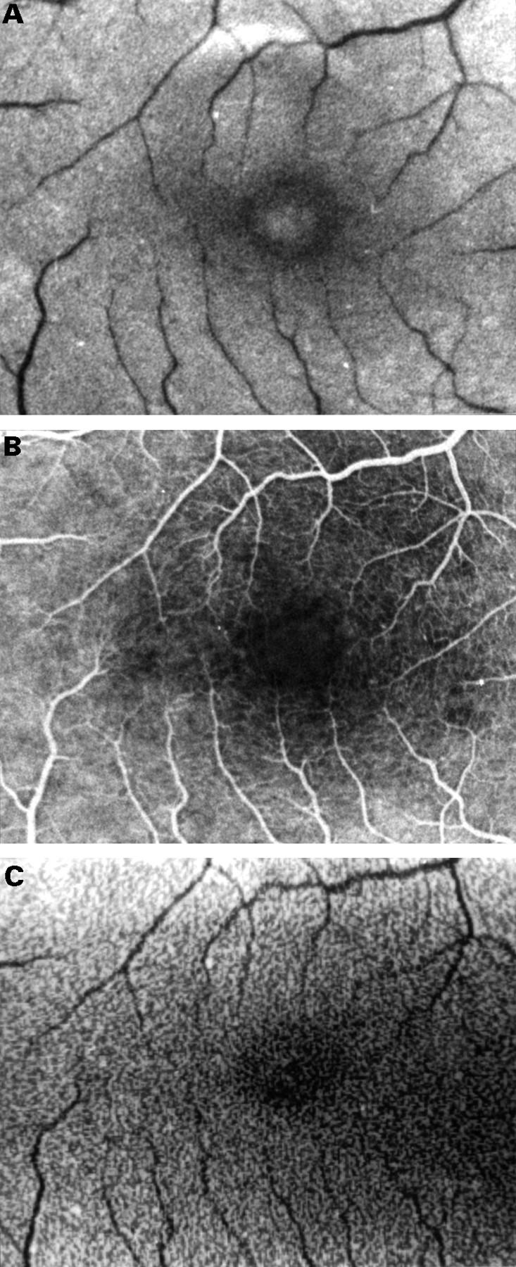 Figure 1  