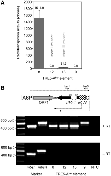 Figure 6.