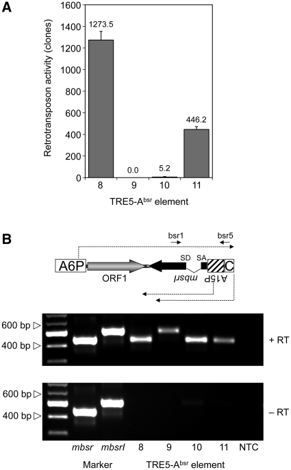 Figure 4.