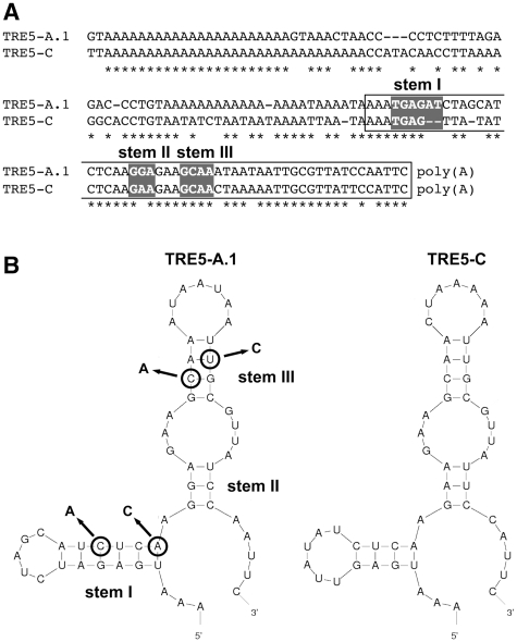 Figure 5.