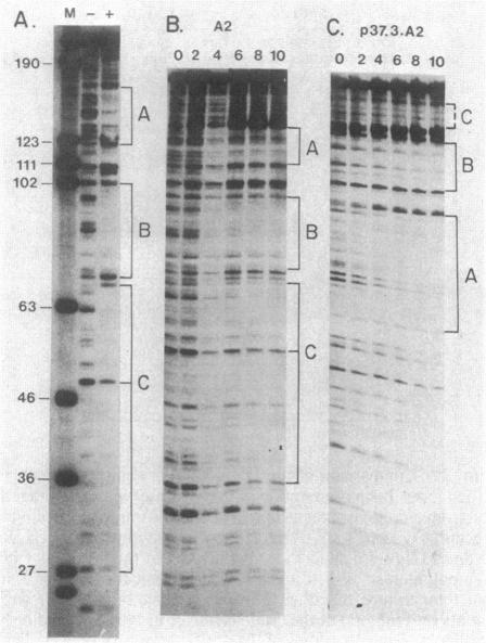 graphic file with name pnas00608-0021-a.jpg