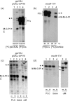 Fig 5