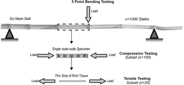 Fig. 2