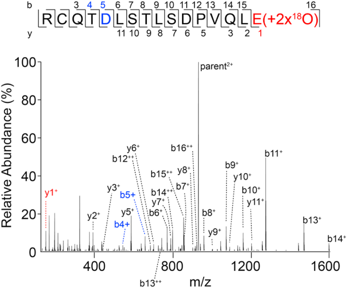 Fig. 5