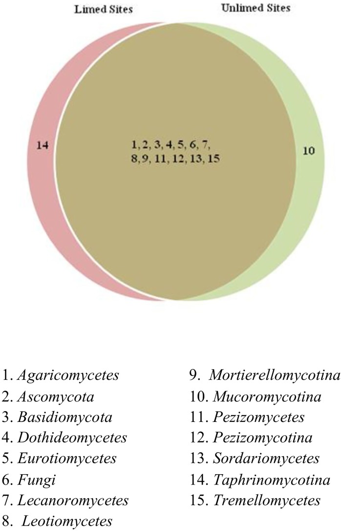 Fig 5