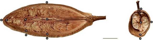 Fig. 1