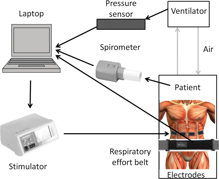 Fig 4