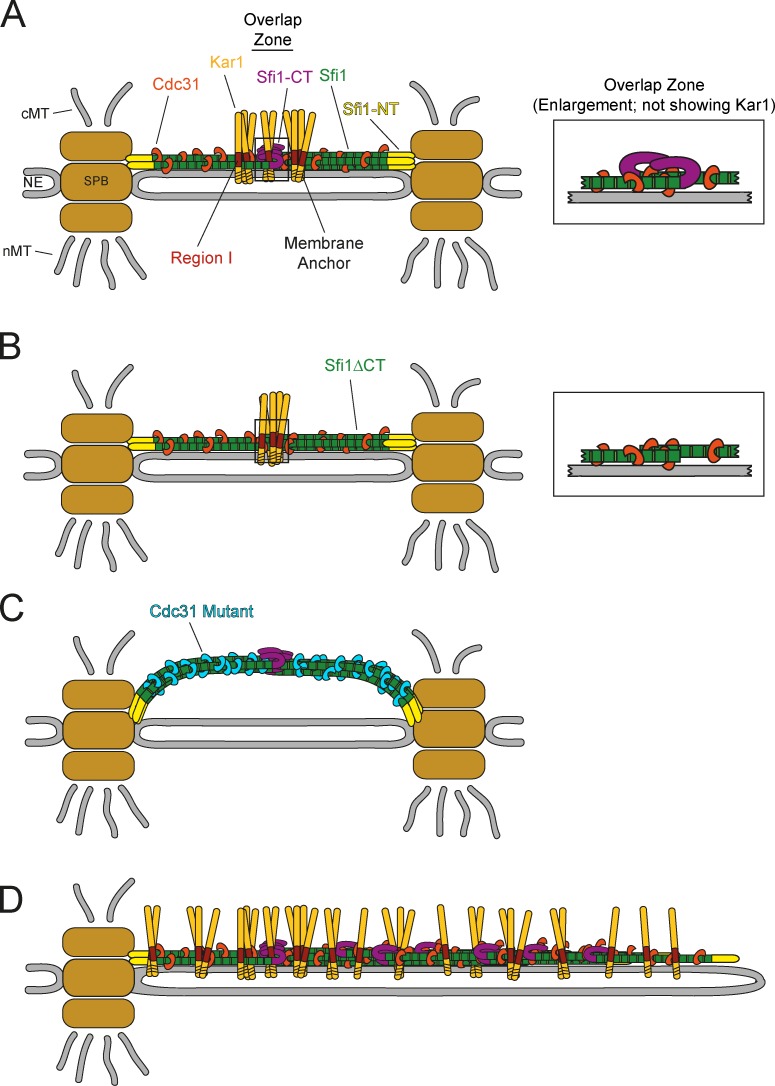 Figure 10.