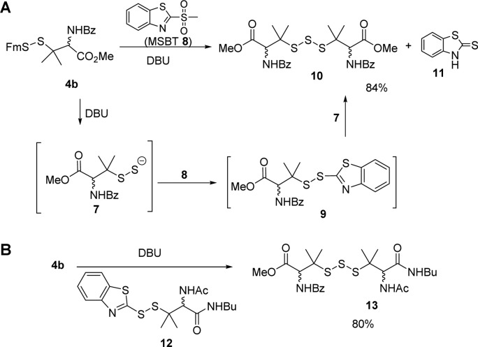 Scheme 4