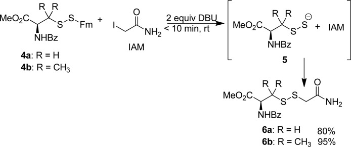 Scheme 3