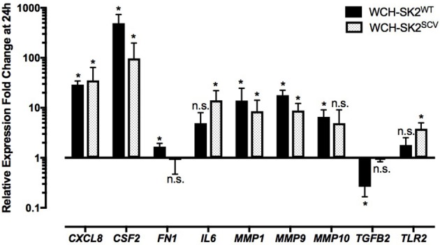 Figure 5