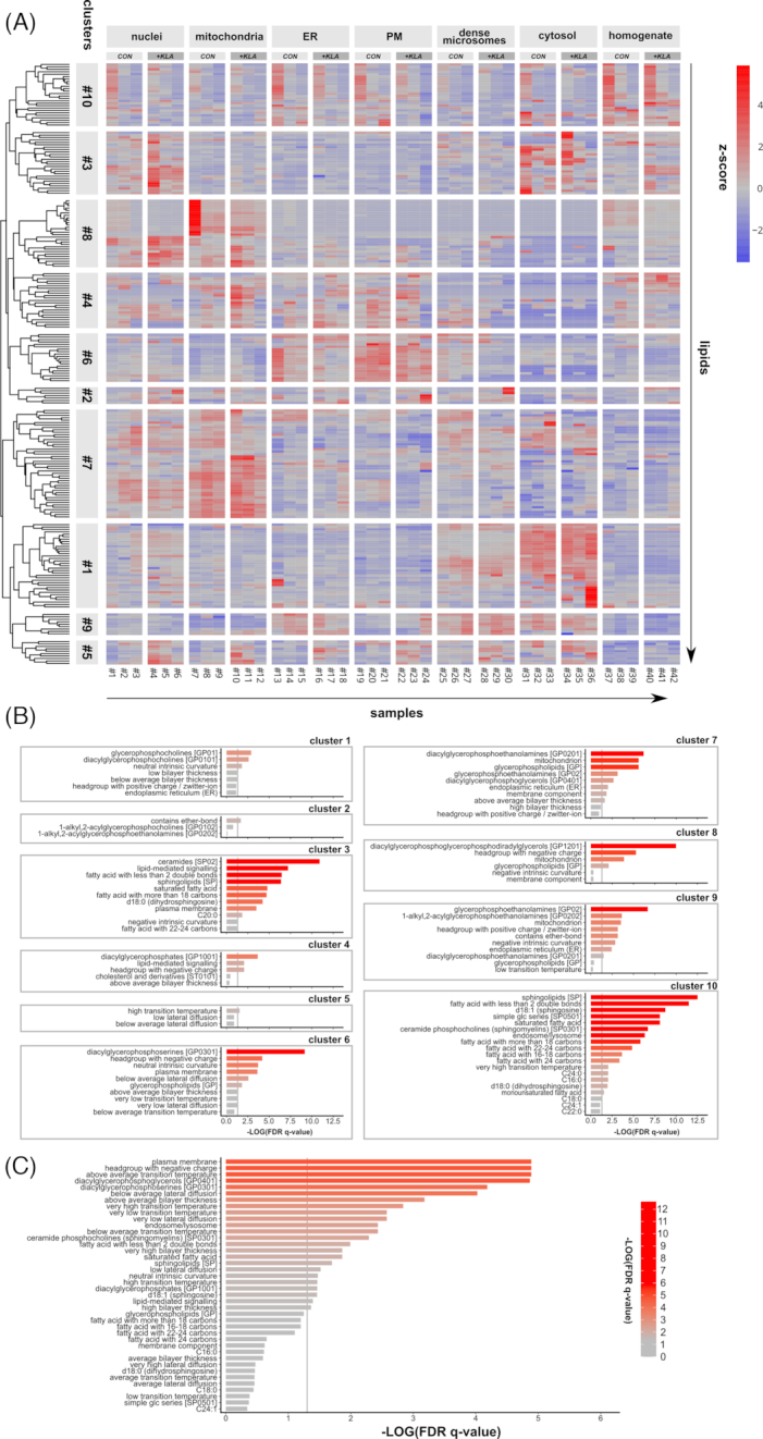 Figure 2: