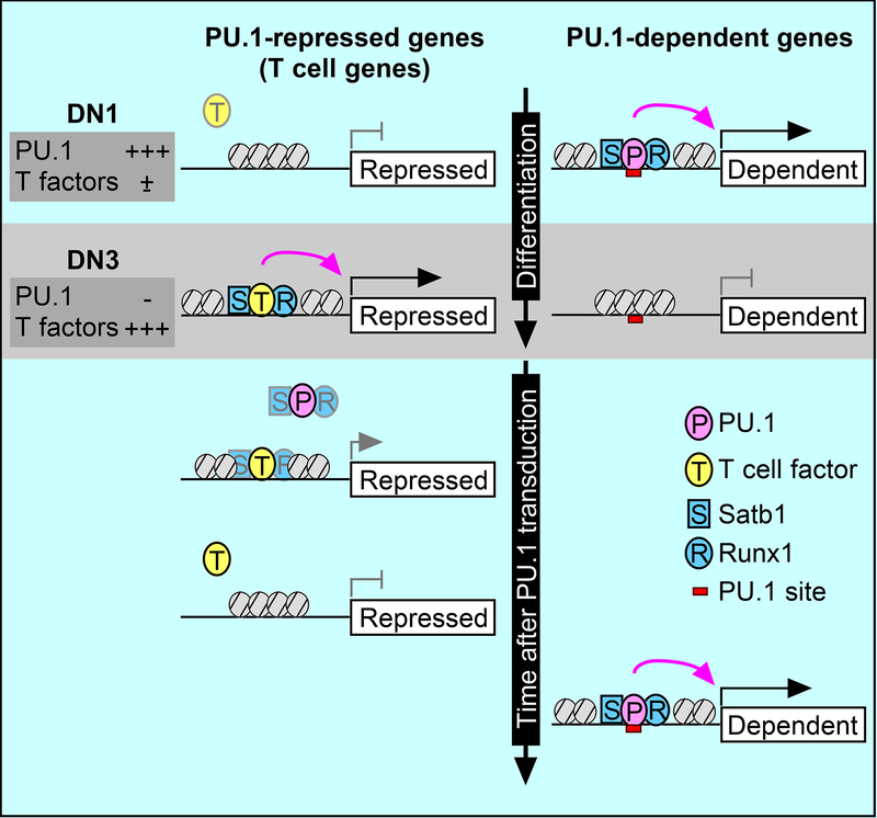 graphic file with name nihms-974273-f0008.jpg