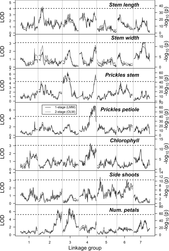 Fig. 2