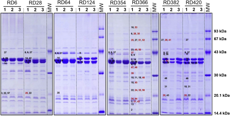 Supplementary Fig. S2