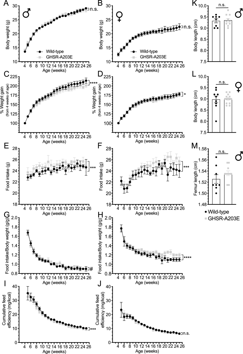 Figure 5