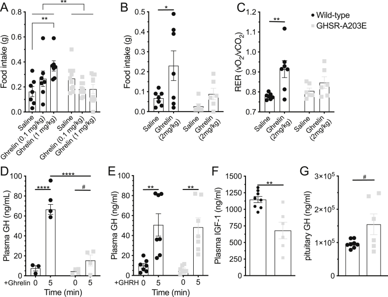 Figure 7