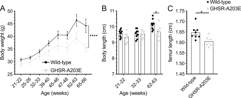 Figure 6