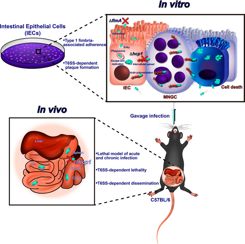 FIG 6