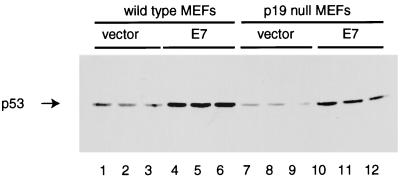 FIG. 8