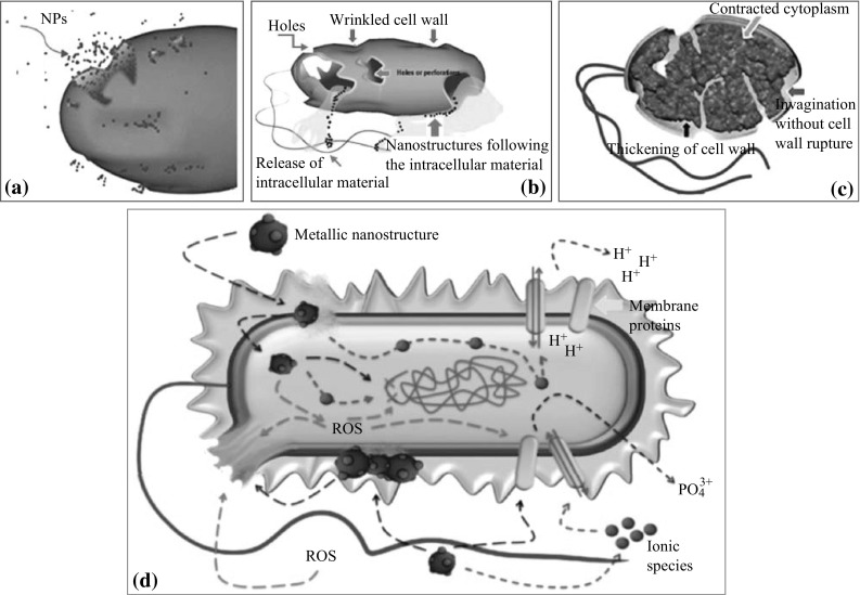 Fig. 5