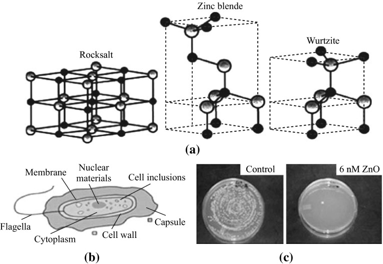 Fig. 1