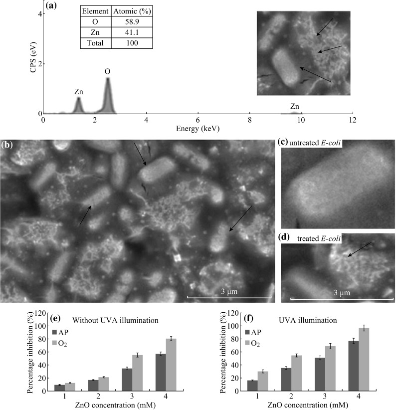 Fig. 6