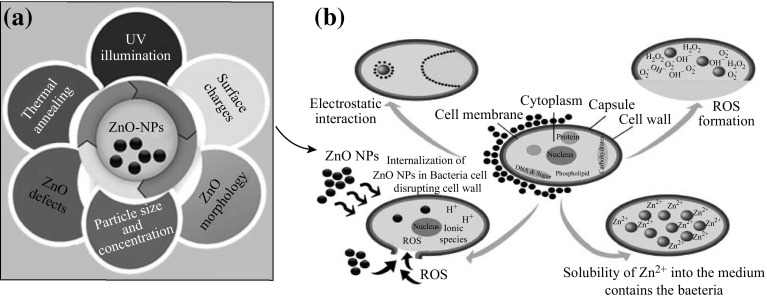 Fig. 2