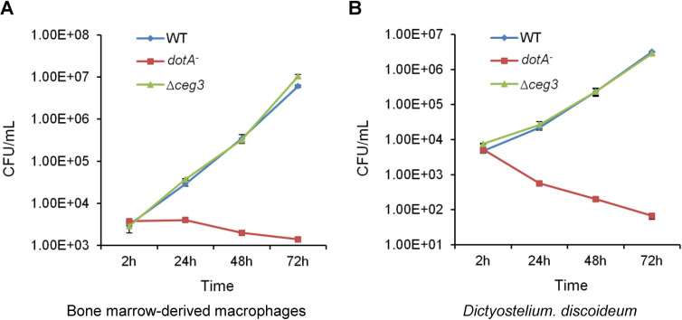 Figure 4—figure supplement 1.