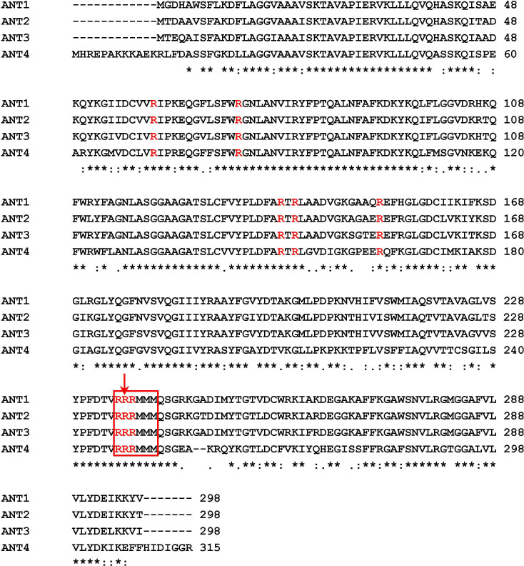 Figure 3—figure supplement 2.