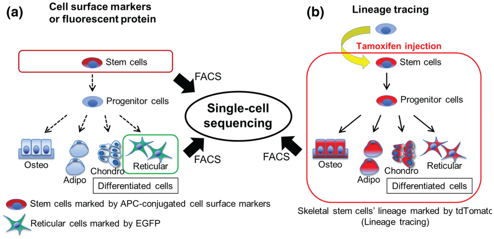 FIGURE 1.