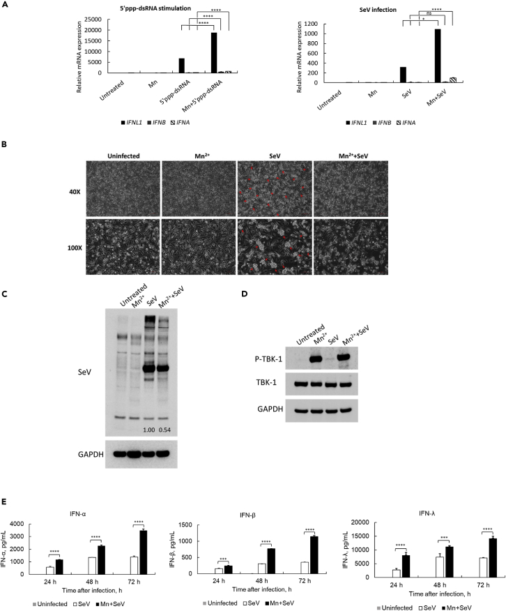 Figure 6