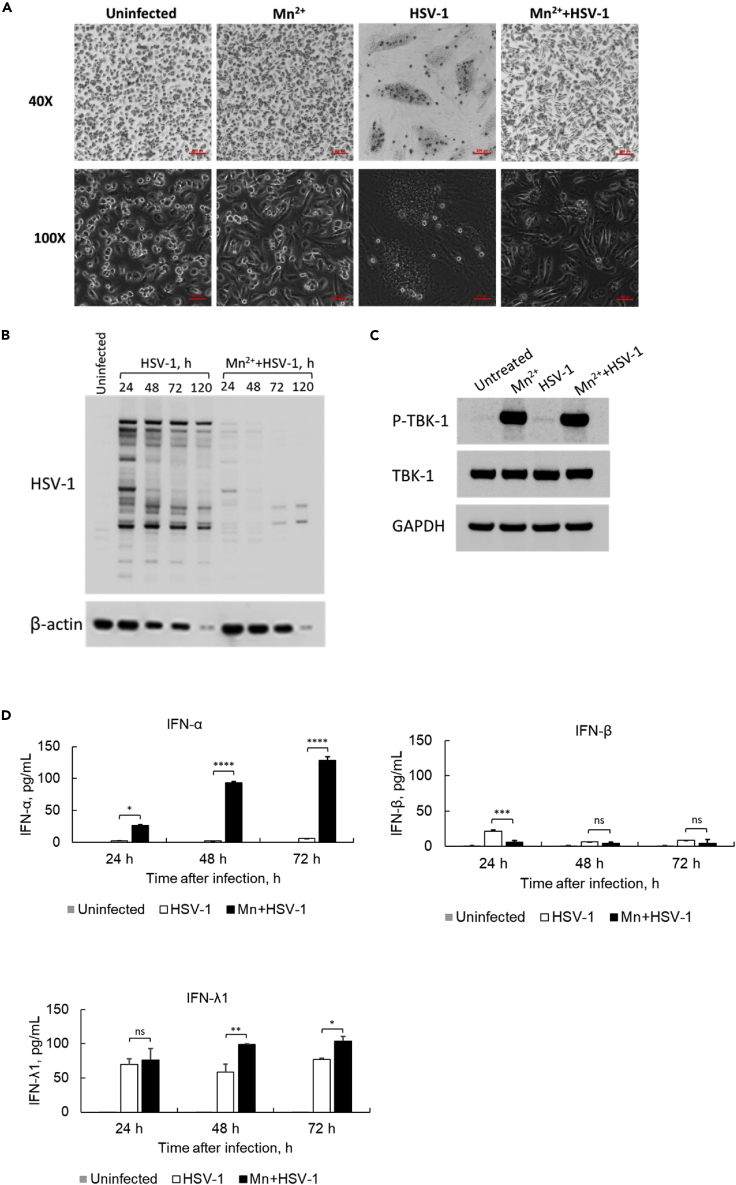 Figure 5