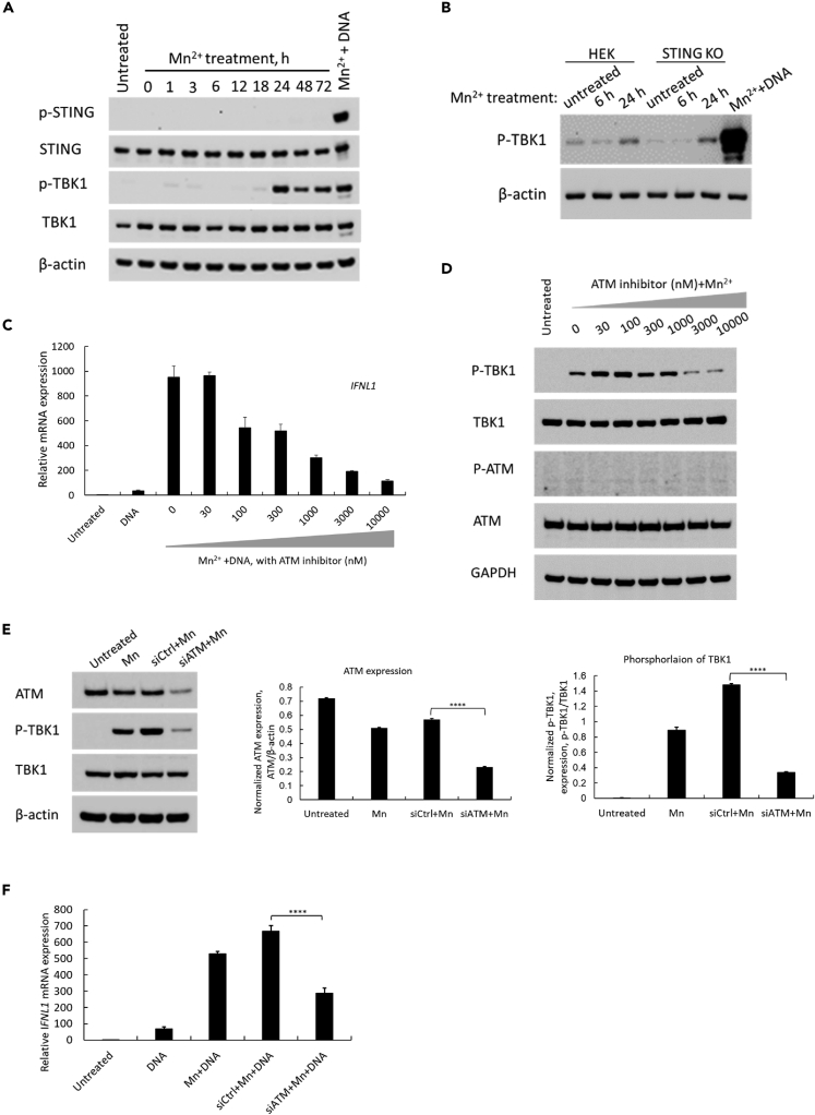 Figure 4