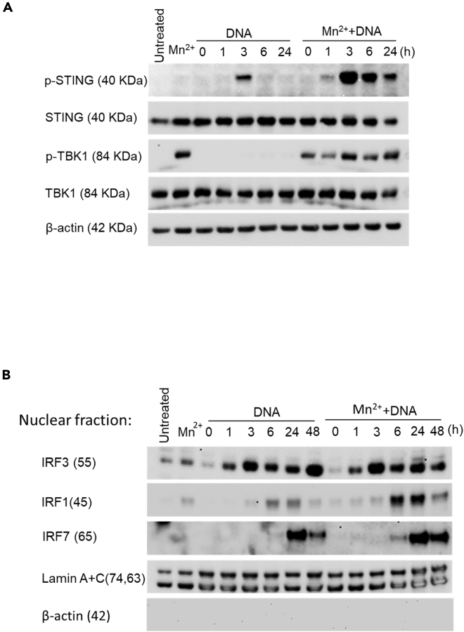 Figure 3