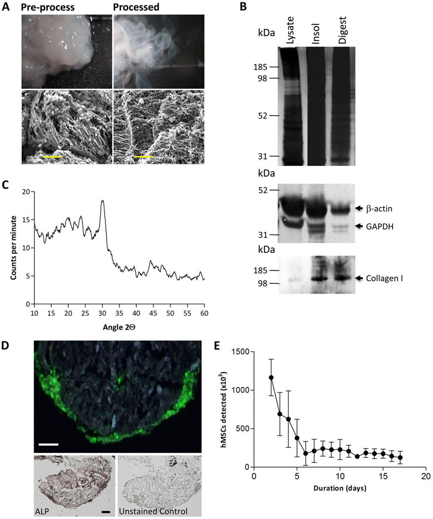 Figure 3: