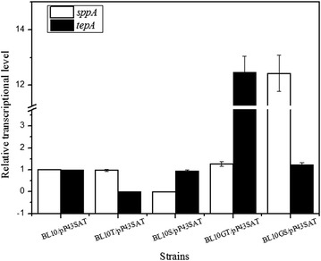 Fig. 6