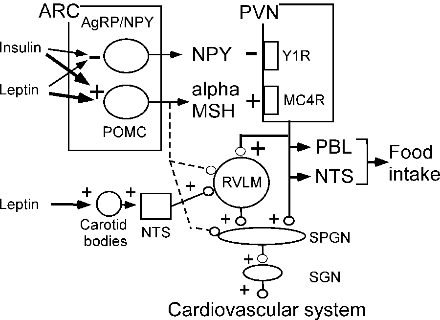 Figure 3: