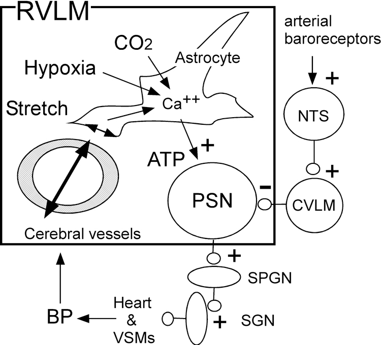 Figure 5: