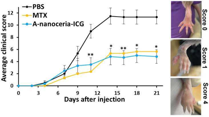 Figure 10